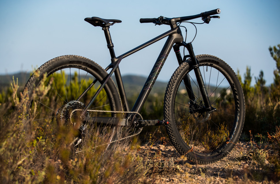 New canyon mtb discount 2021